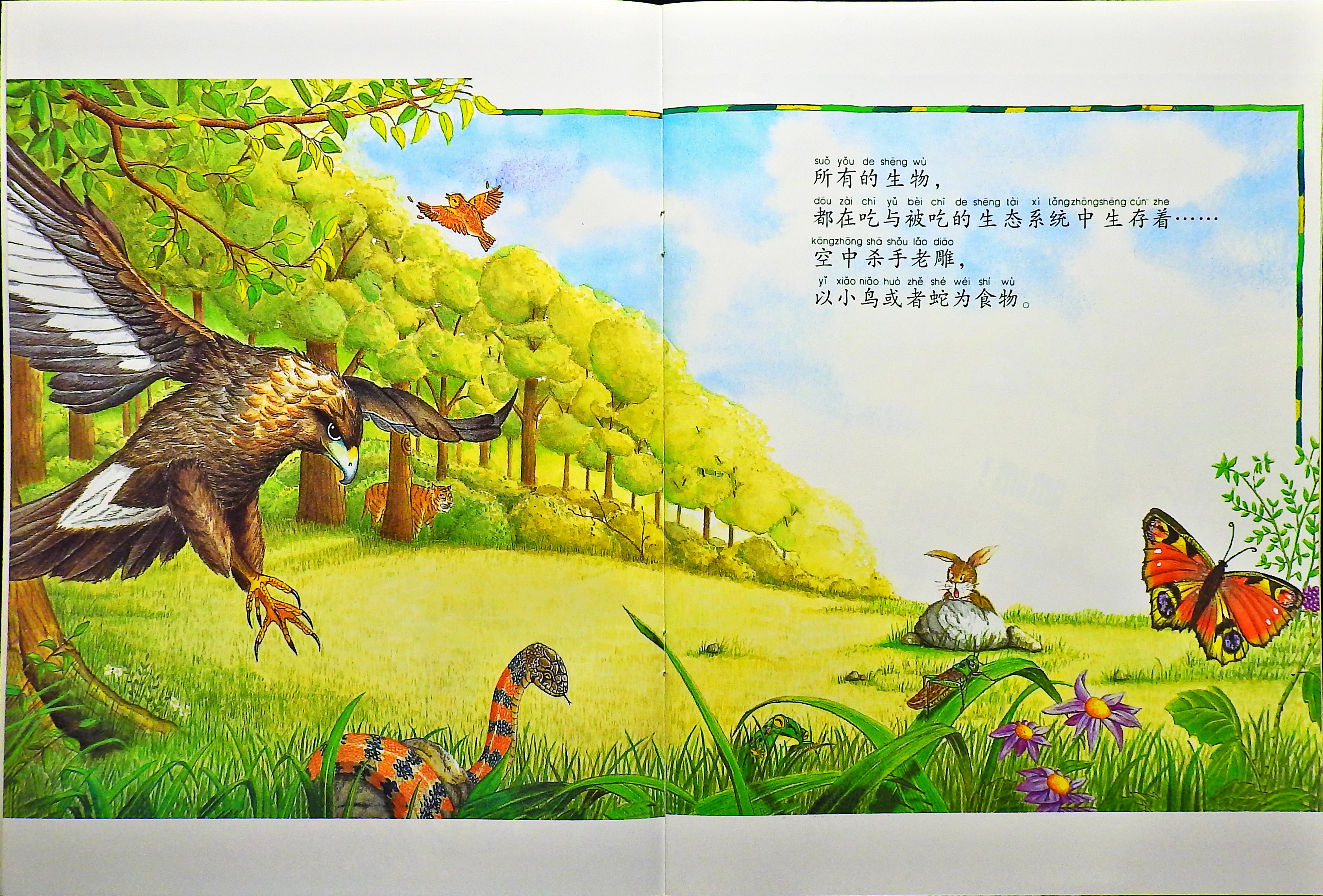 生物界的食物链 (04),绘本,绘本故事,绘本阅读,故事书,童书,图画书,课外阅读